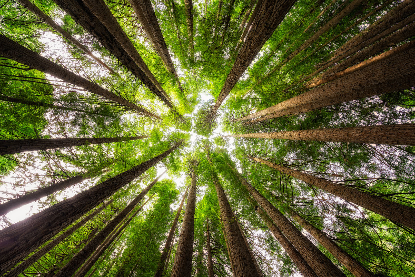 Business audits, Warrnambool