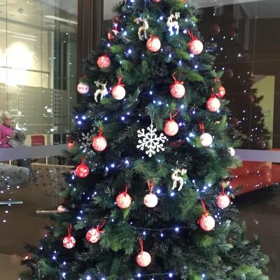 Sinclair Wilson Wishing Tree