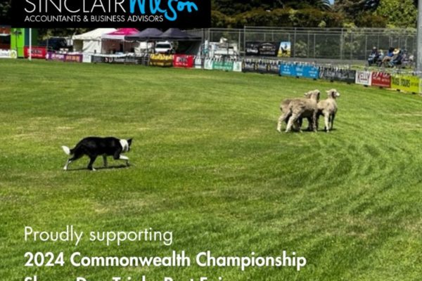 Sheep Dog Trials